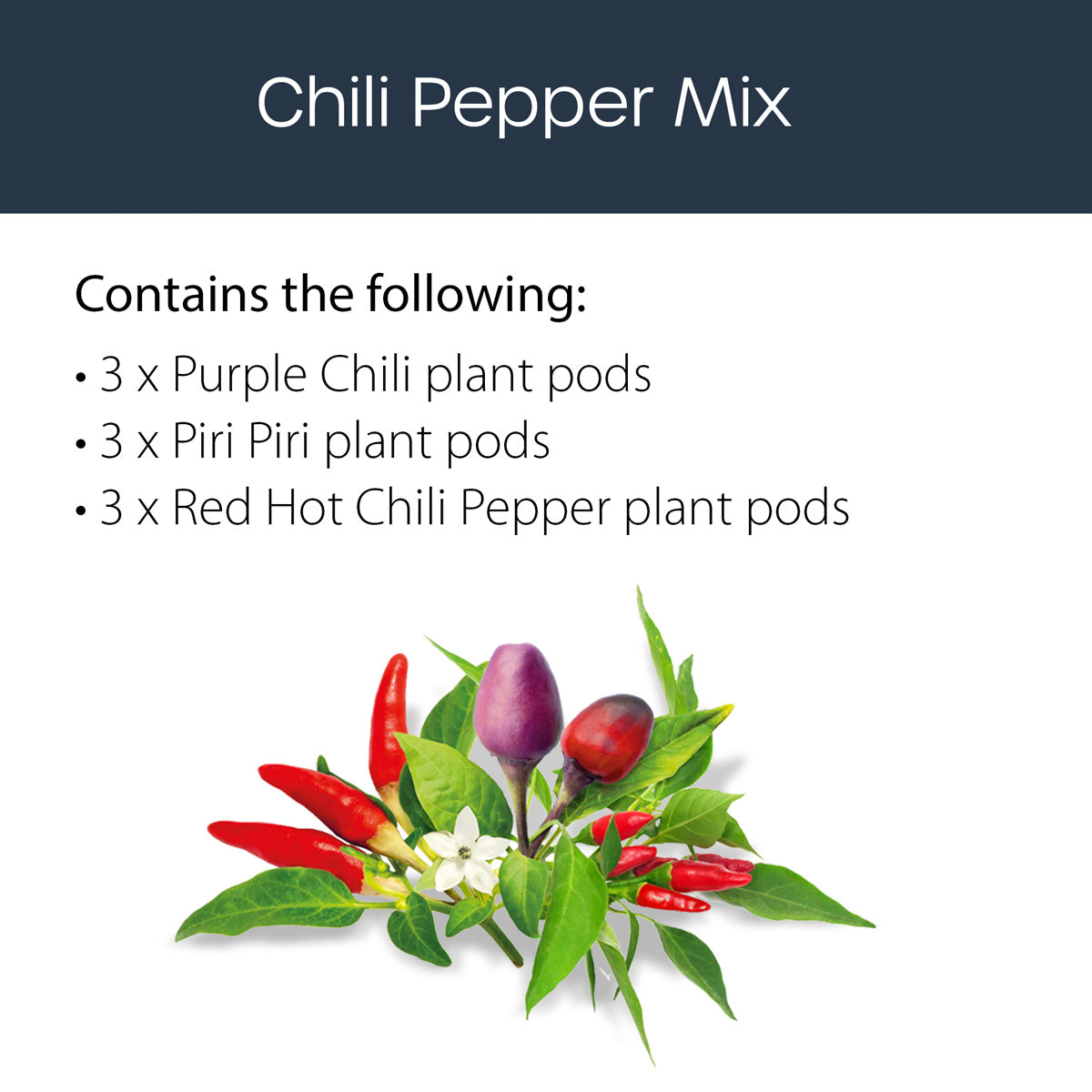 Chili pepper mix with text listing types of chili plant pods on a white background.
