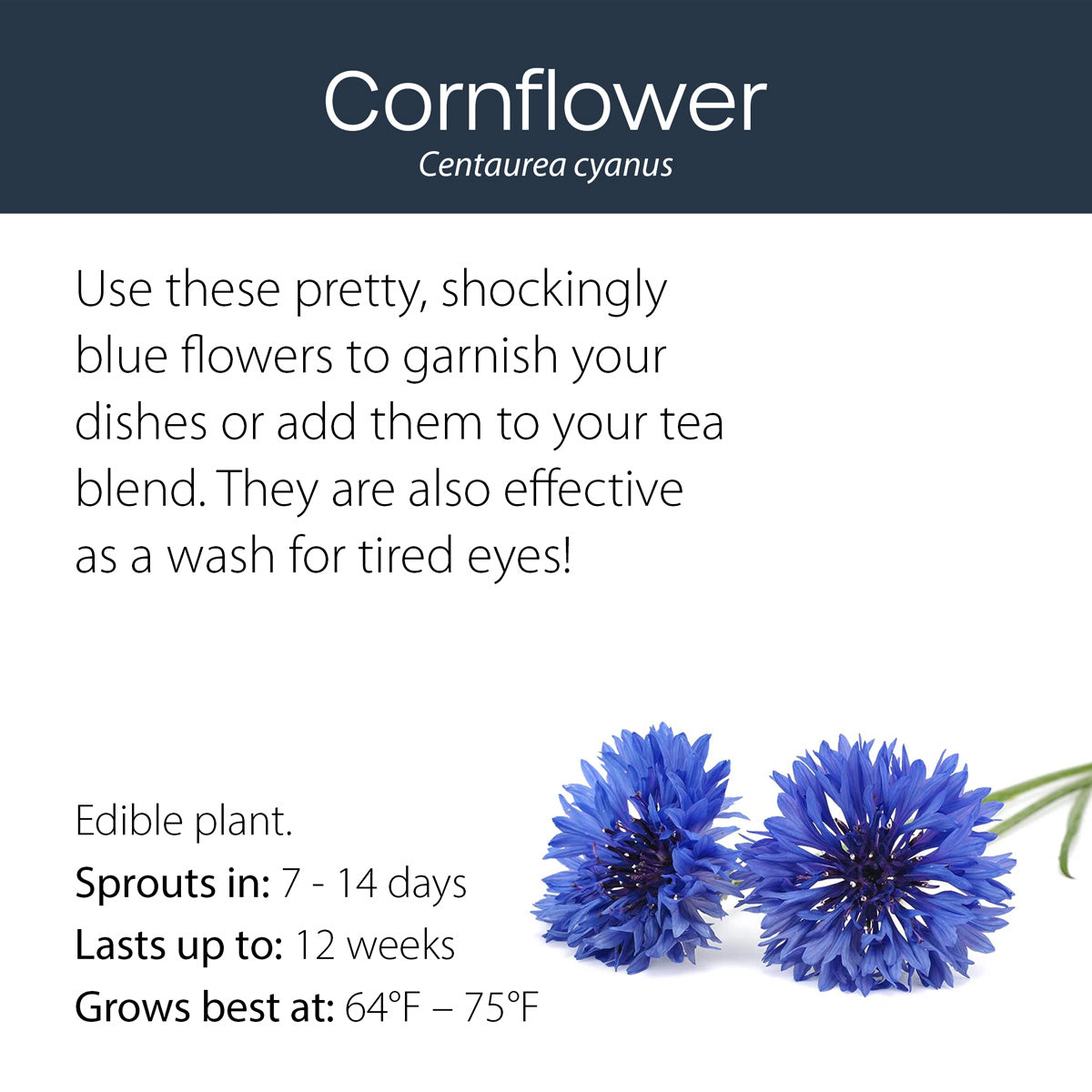Flowers Pre-Seeded Pods