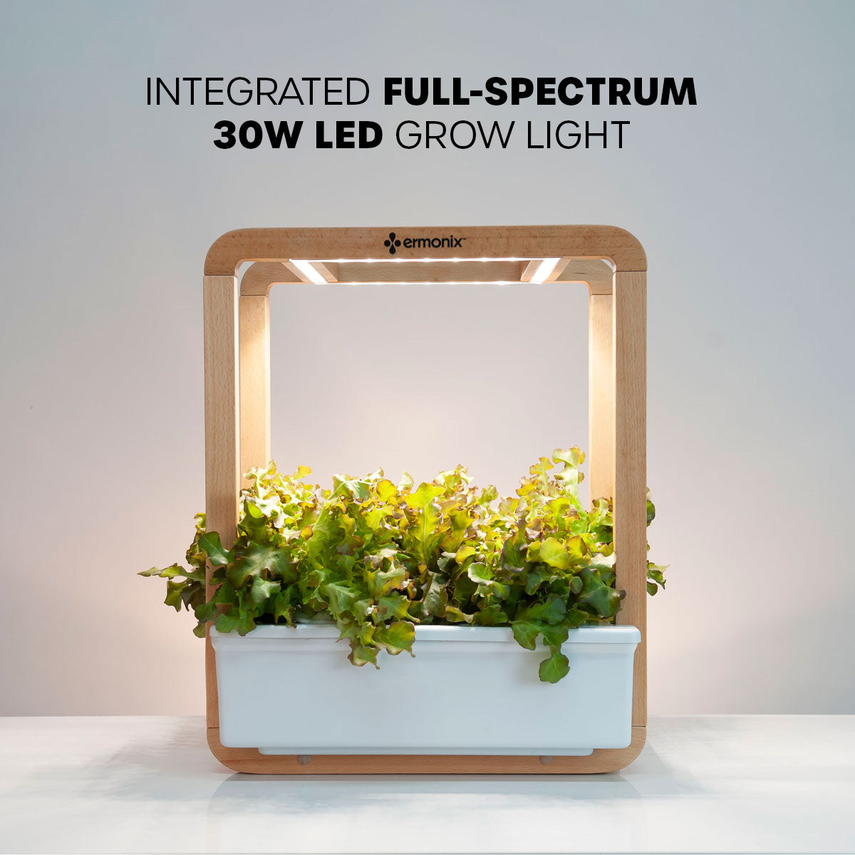 Garden Cube featuring an integrated full-spectrum 30W LED grow light with lettuce  inside on a white background.