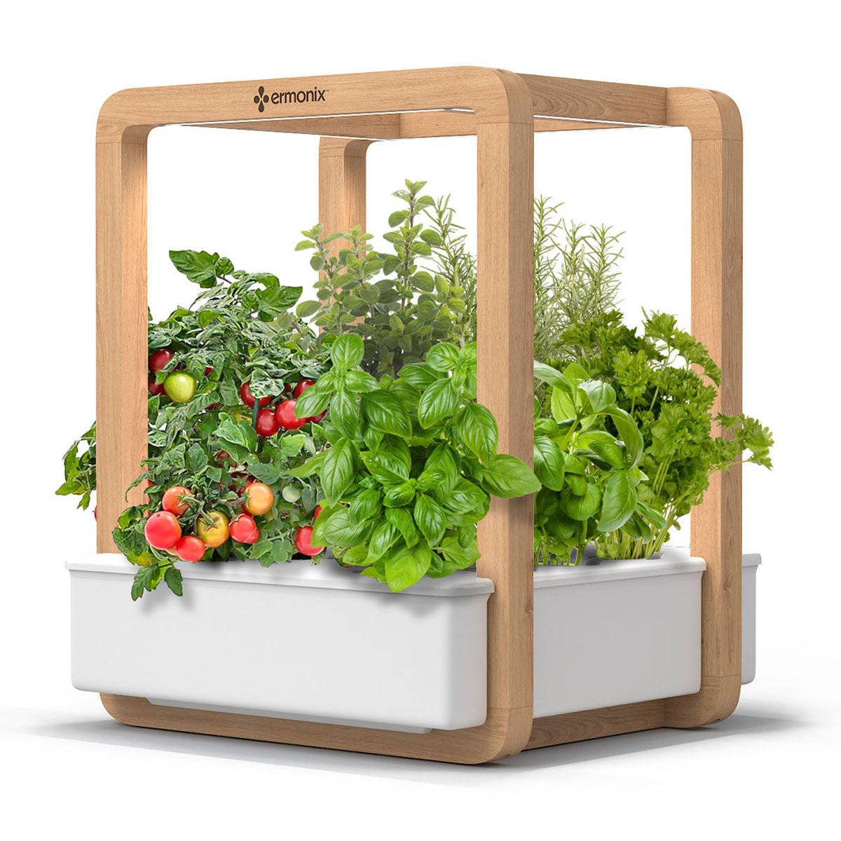 Garden Cube indoor smart garden growing tomatoes, basil and other herbs