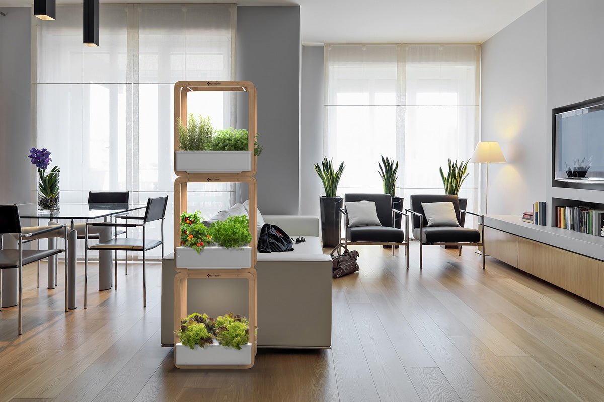 indoor vertical Garden cube growing herbs and veggies at home