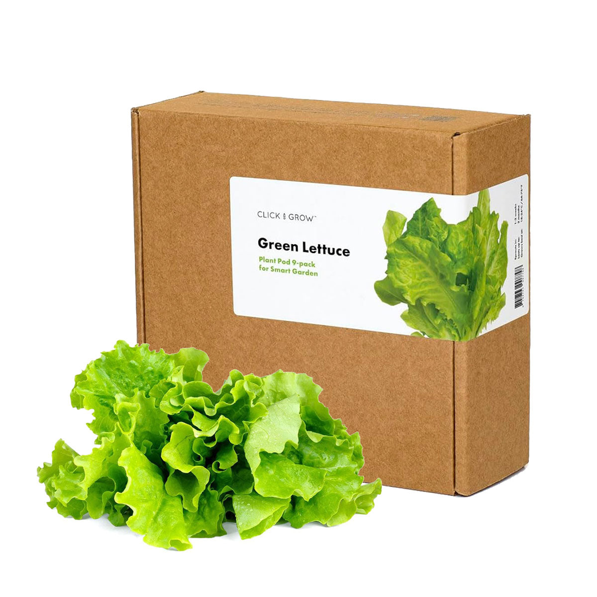 Green lettuce 9-pack.
