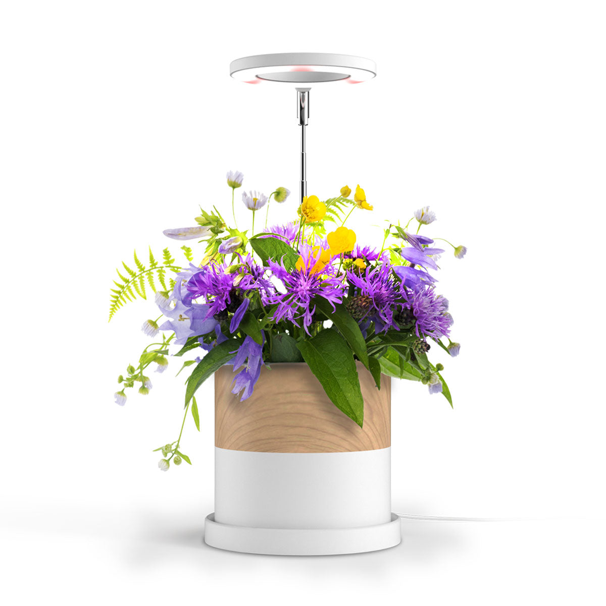 Halo Elite Grow Light flowers with flowers.