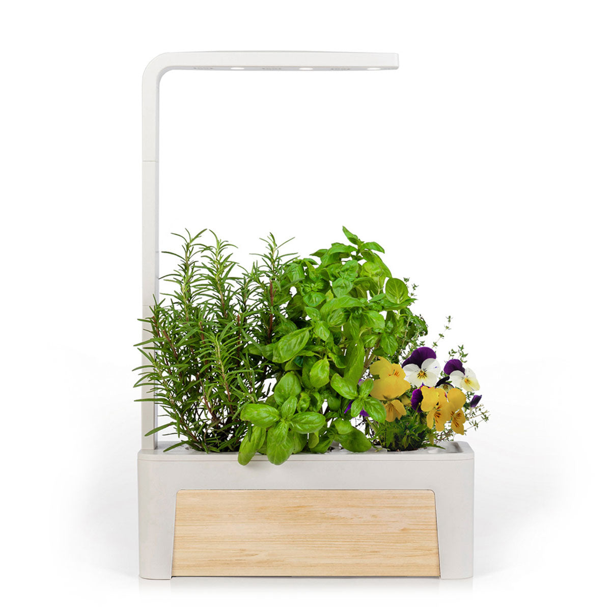 HydroGarden 3 with wood panel finish featuring rosemary, basil, and pansy flowers on a white background.