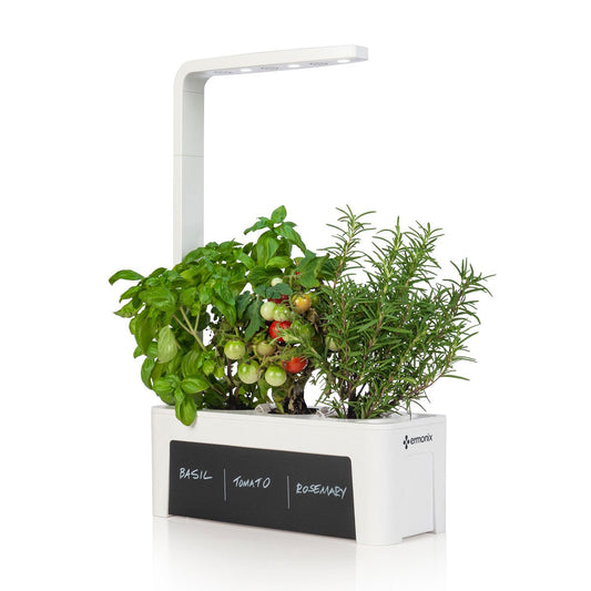 HydroGarden 3 in three quarter view with chalk panel growing basil, mini tomatoes, and rosemary.