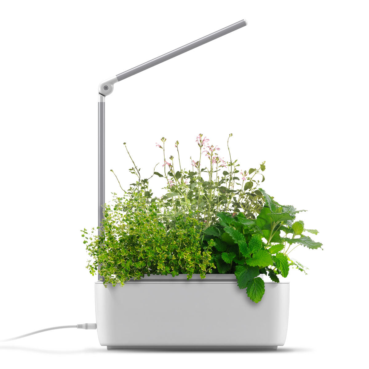 HydroGarden Classic containing various herbs and green plants growing in a vermiculite medium.