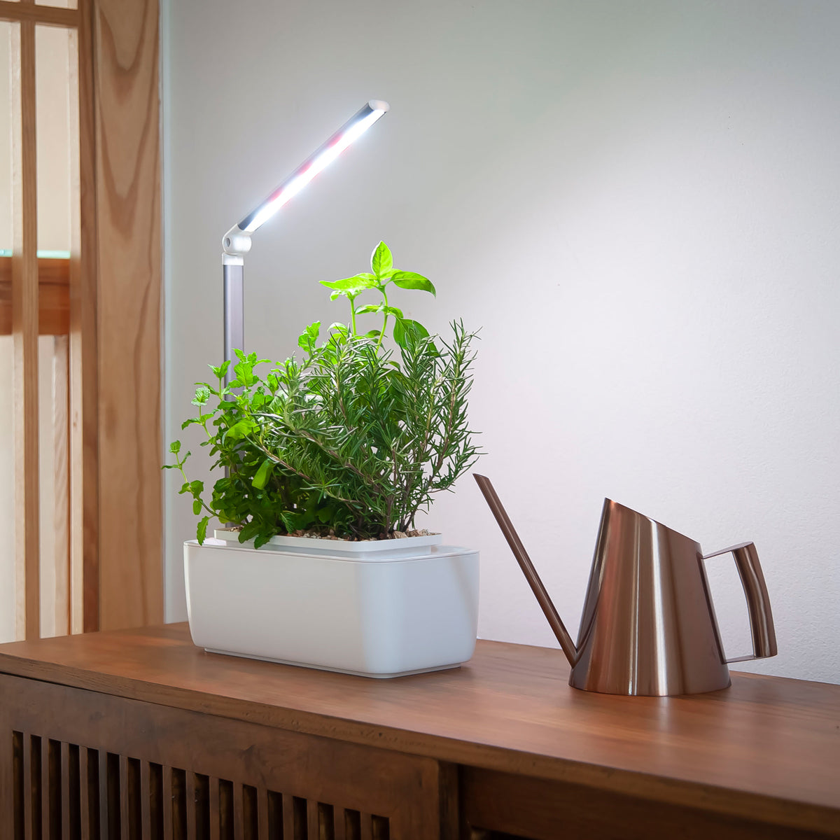 Rose gold mini watering can featured beside a HydroGarden Classic with herbs growing on a wooden living room cabinet.
