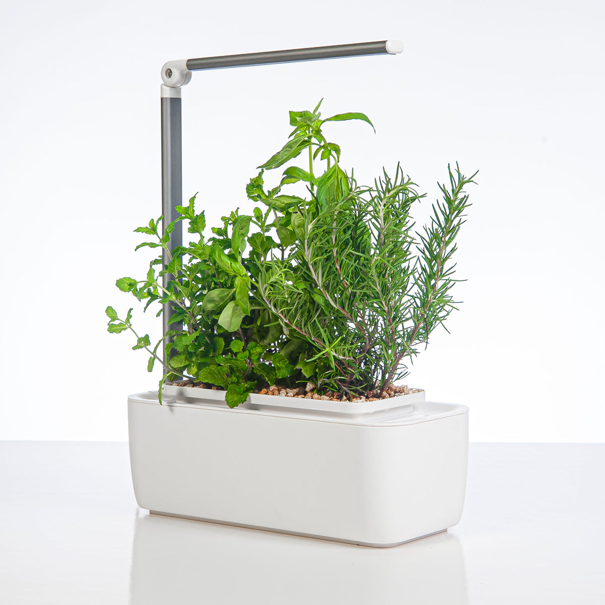 HydroGarden Classic three quarter view growing mint basil and rosemary on a white background.