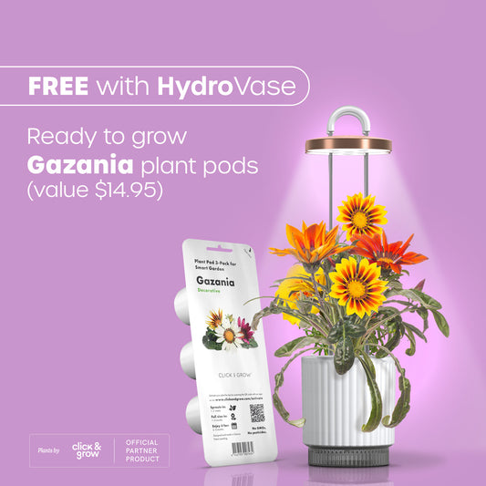 Gazania Click & Grow plant pods value $14.95 free with the Ermonix HydroVase.