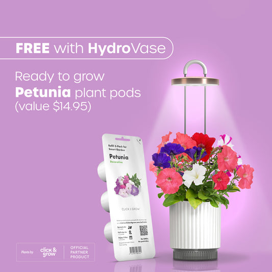 Petunia Click & Grow plant pods value $14.95 free with the Ermonix HydroVase.