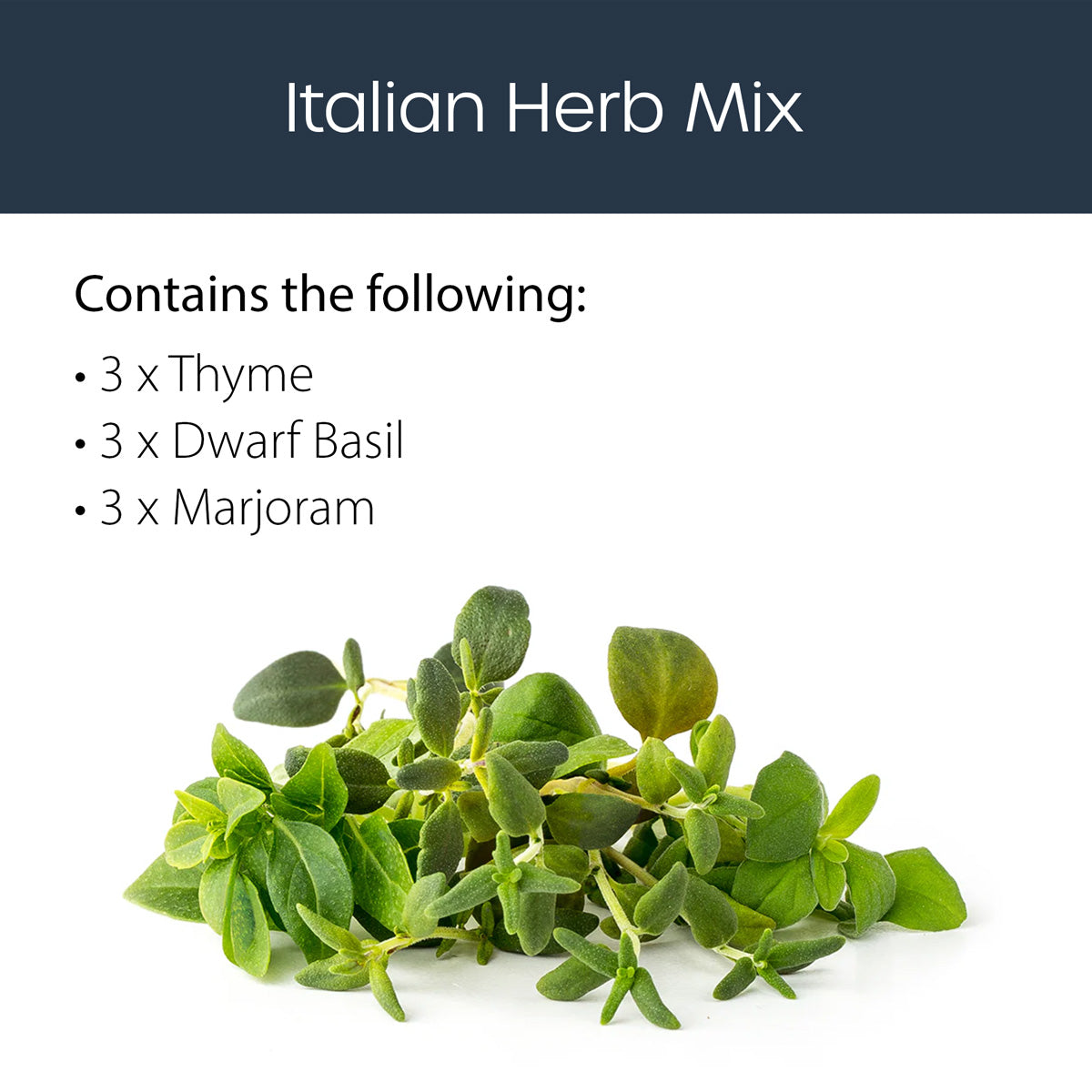 Italian Herb mix 9 pack Click and grow description.