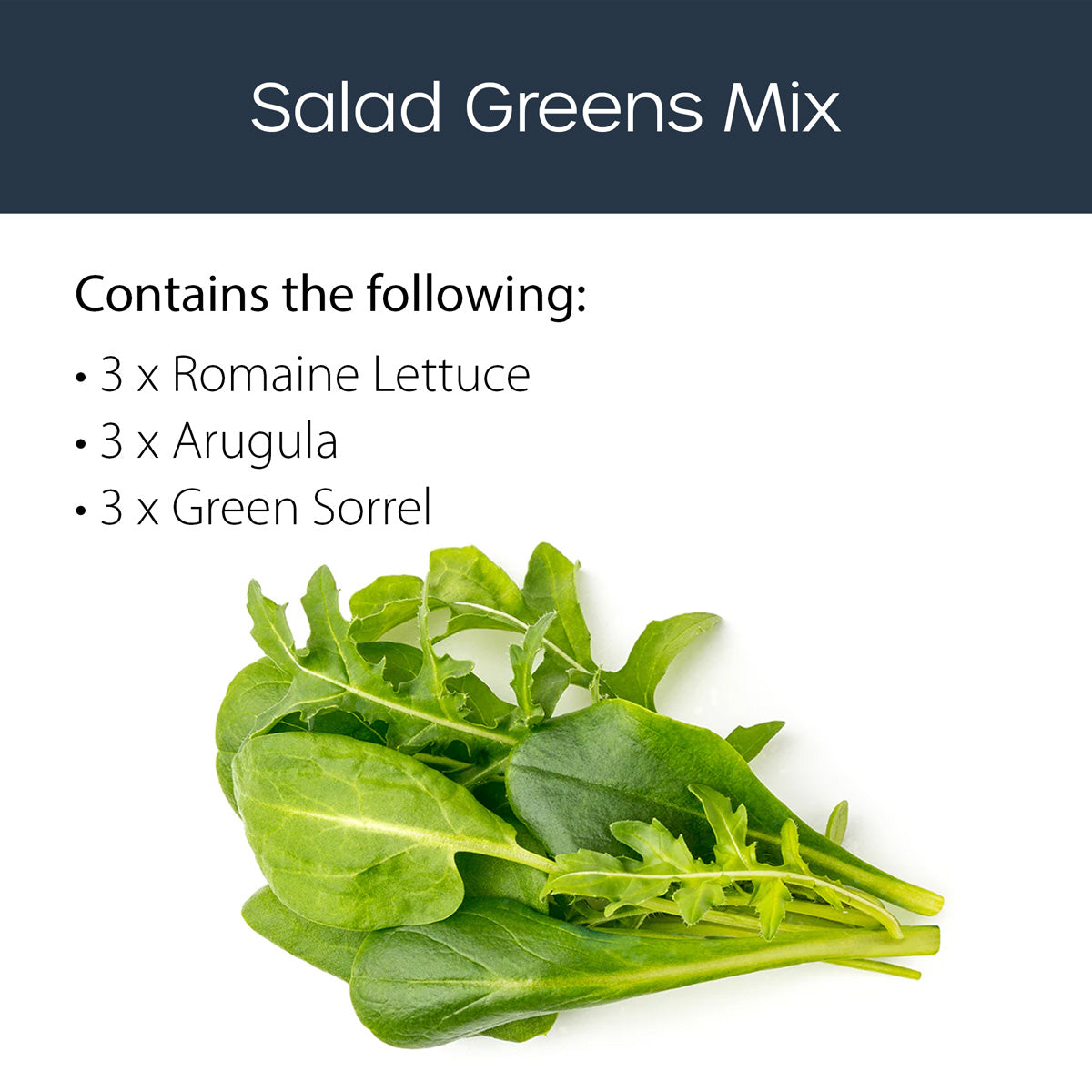 Salad Greens mix 9 pack Click and grow description.