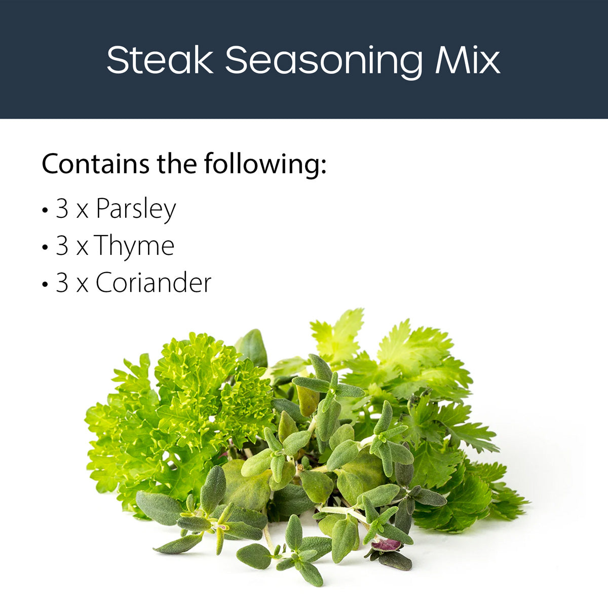 Steak Seasoning mix 9 pack Click and grow description.