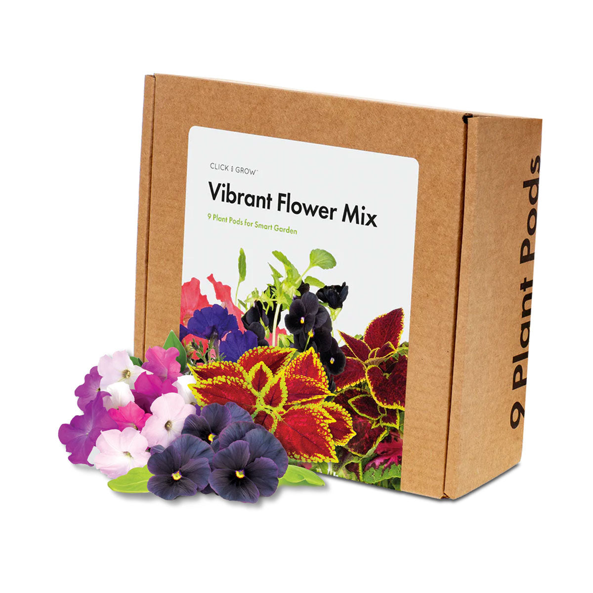 Vibrant flower mix 9-pack.