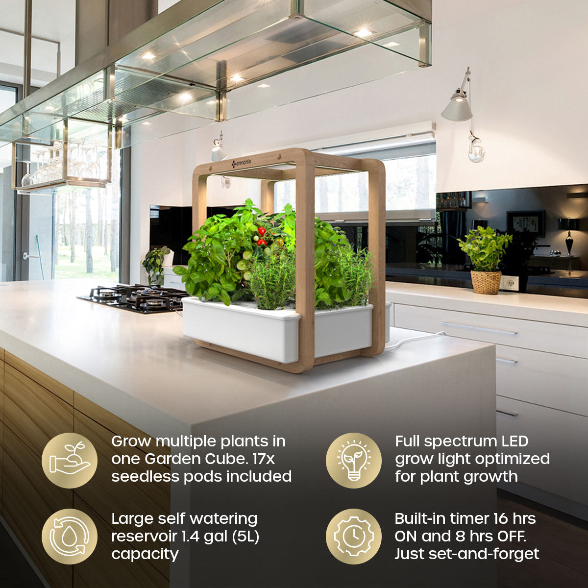 Garden Cube sitting on modern kitchen bench top.