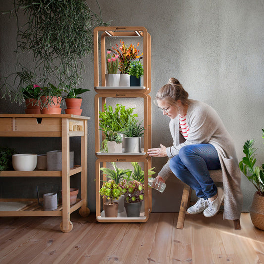 Woman tending to plants in a home setting with a 3-stack go Grow Cubes..