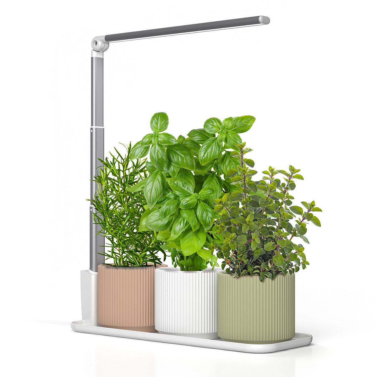 Full Spectrum LED Grow Light with Tray for Potted Plants – Ermonix