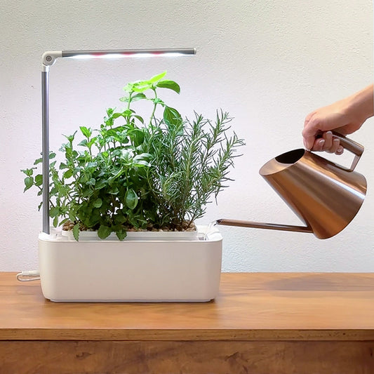 hand model using rose gold watering to fill the reservoir in the HydroGarden Classic.