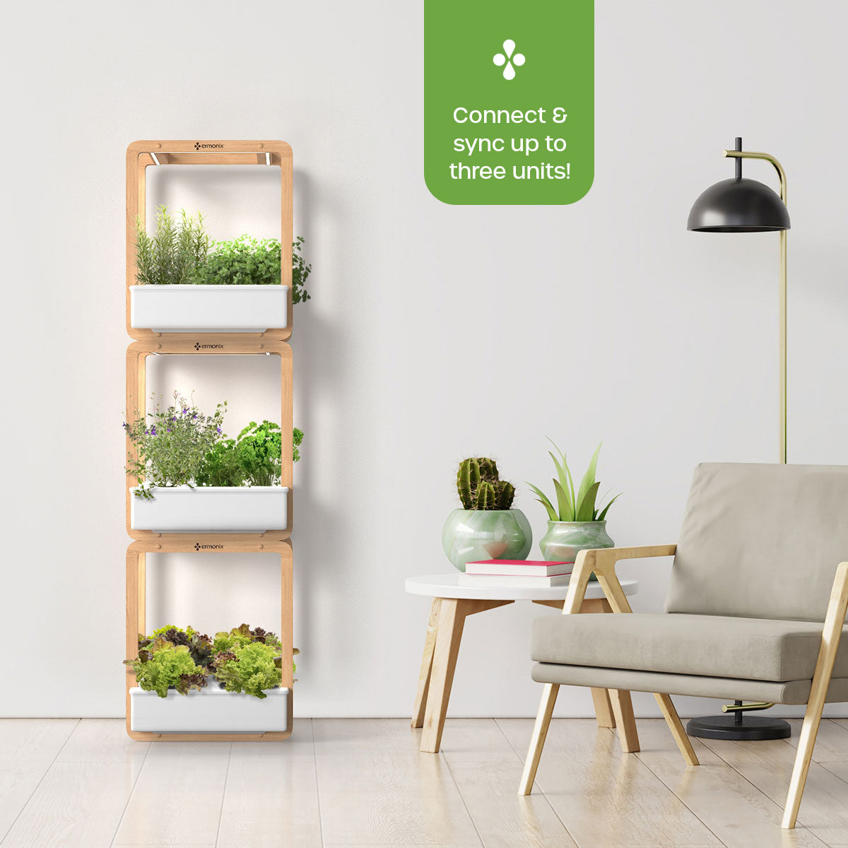 Vertical indoor garden growing herbs and vegetables