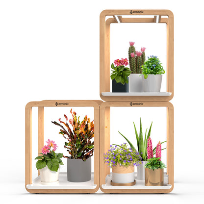 Grow Cube