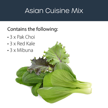 Asian cuisine mix 9 pack Click and grow description