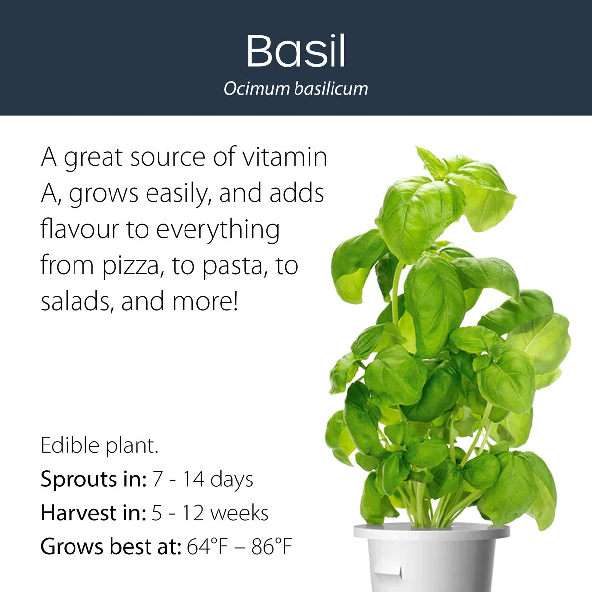 Basil click and grow plant pod features and benefits