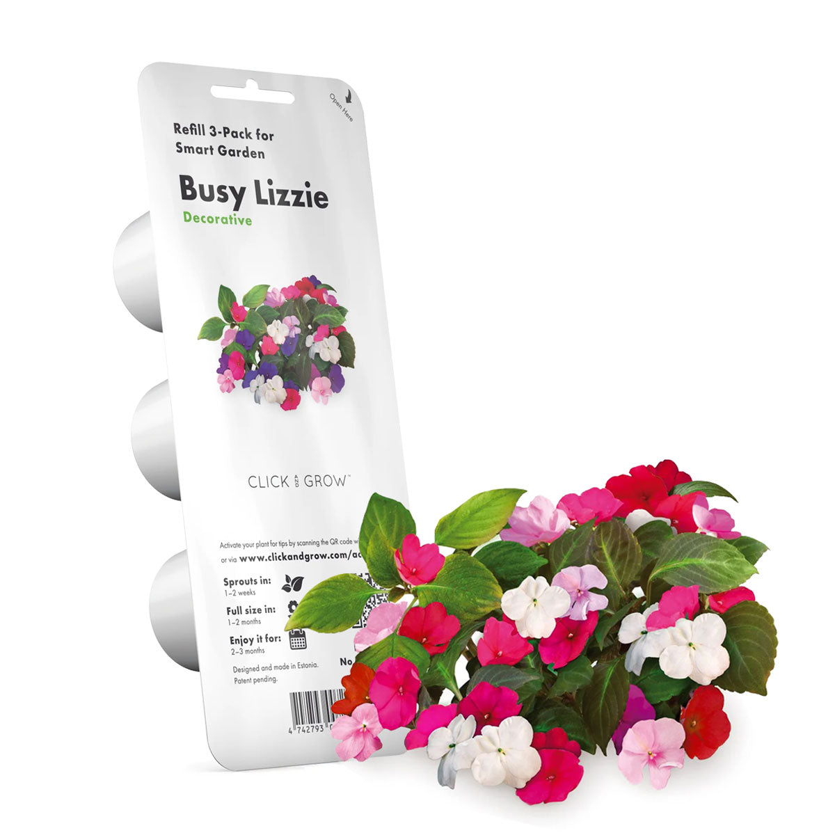 Busy lizzie Click and grow plant pods 3-pack