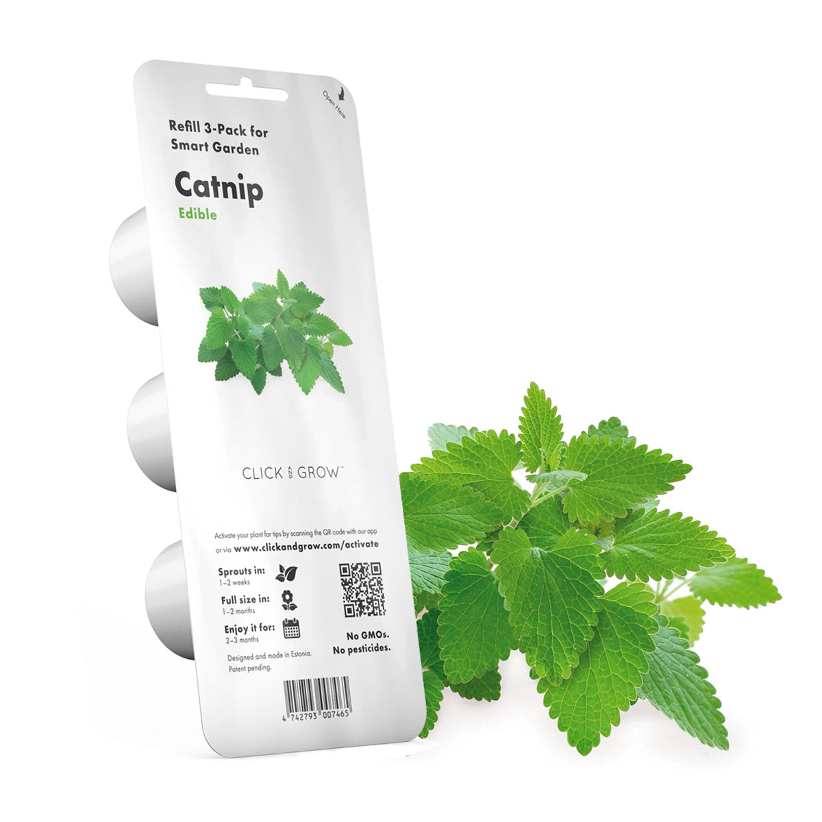 Catnip Click and grow plant pods 3-pack