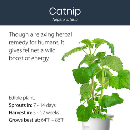 Catnip click and grow plant pod features and benefits