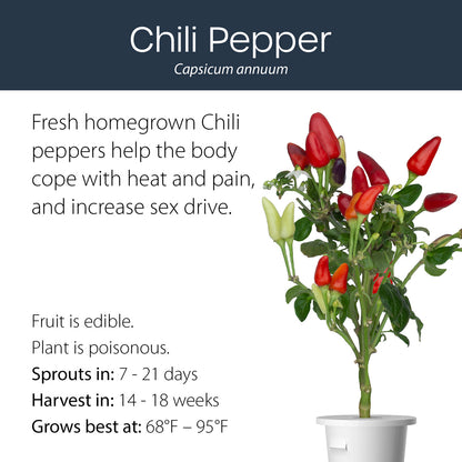 Chilli Pepper click and grow plant pod features and benefits