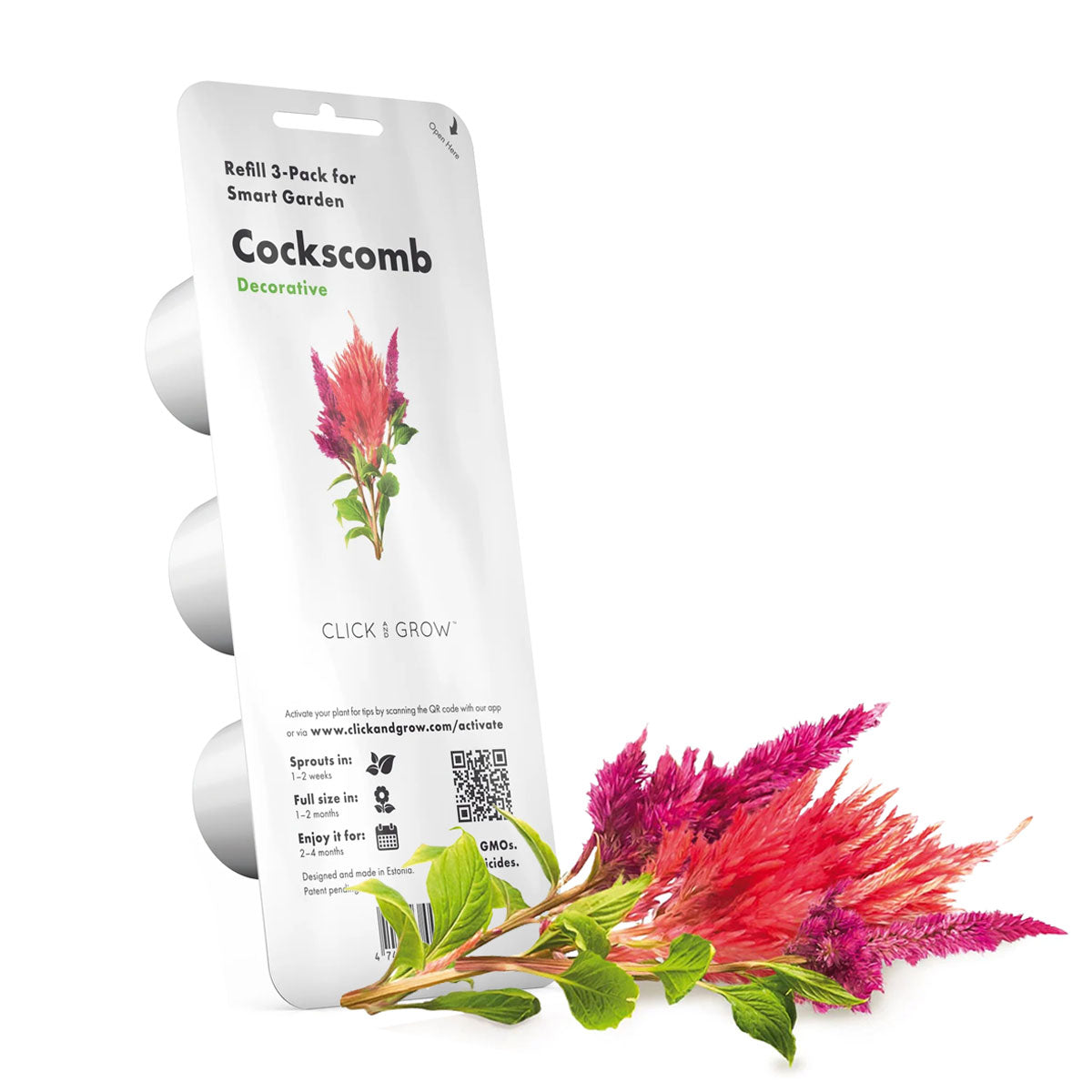 Cockscomb Click and grow plant pods 3-pack