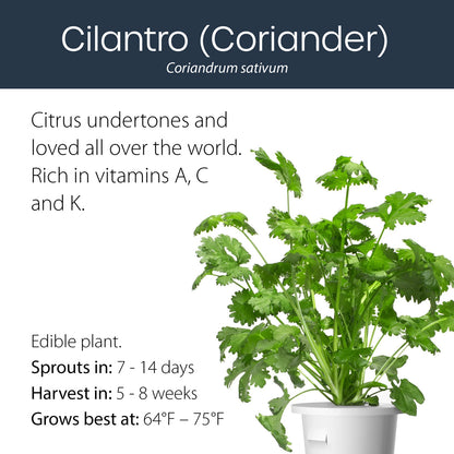 Coriander-cilantro click and grow plant pod features and benefits