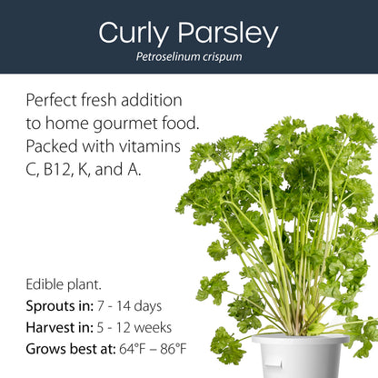 Curly Parsley click and grow plant pod features and benefits