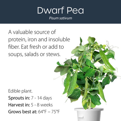 Dwarf pea click and grow plant pod features and benefits