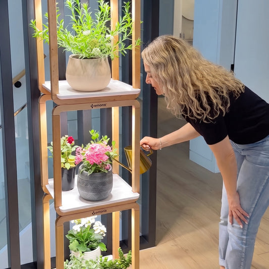 Grow Cube