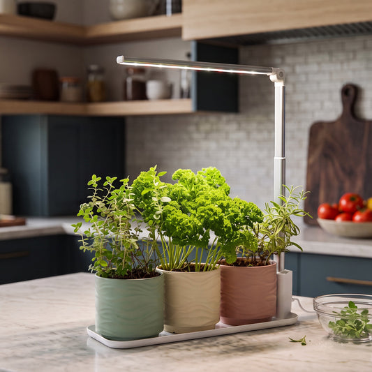 Herbs growing in the Ermonix grow tray full-spectrum grow light on a bench top in the kitchen