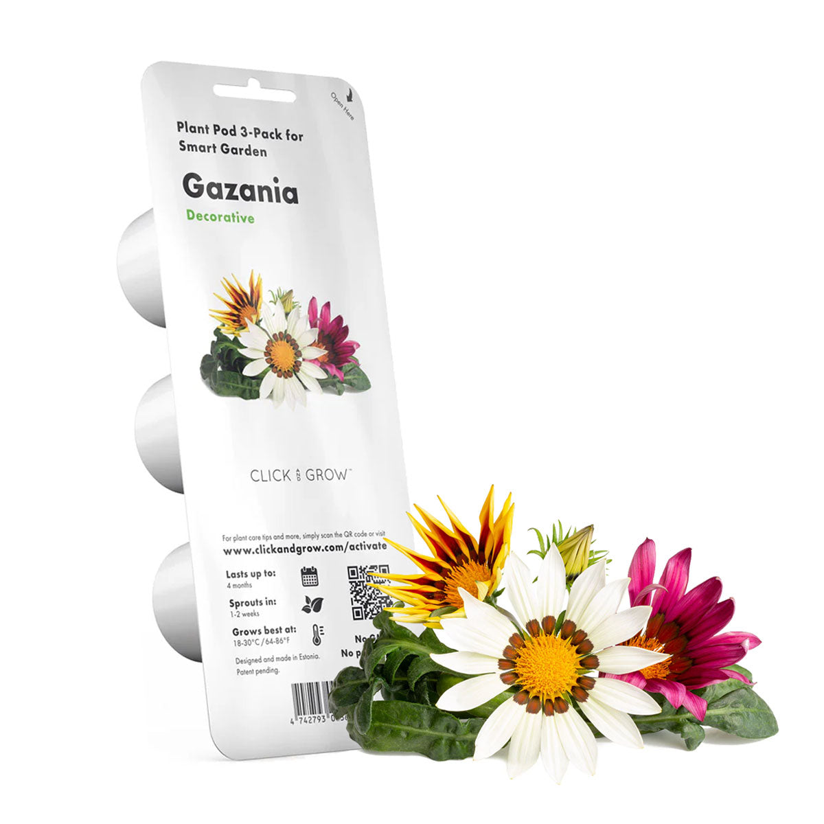 Gazania Click and grow plant pods 3-pack