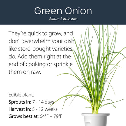 Herbs Pre-Seeded Pods