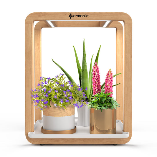 Grow Cube Grow Light with flowers and aloe vera