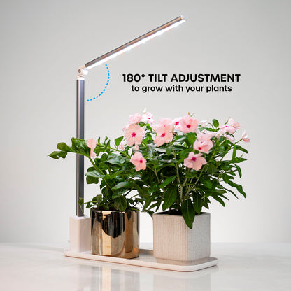 Plant light with tray housing two flower pots