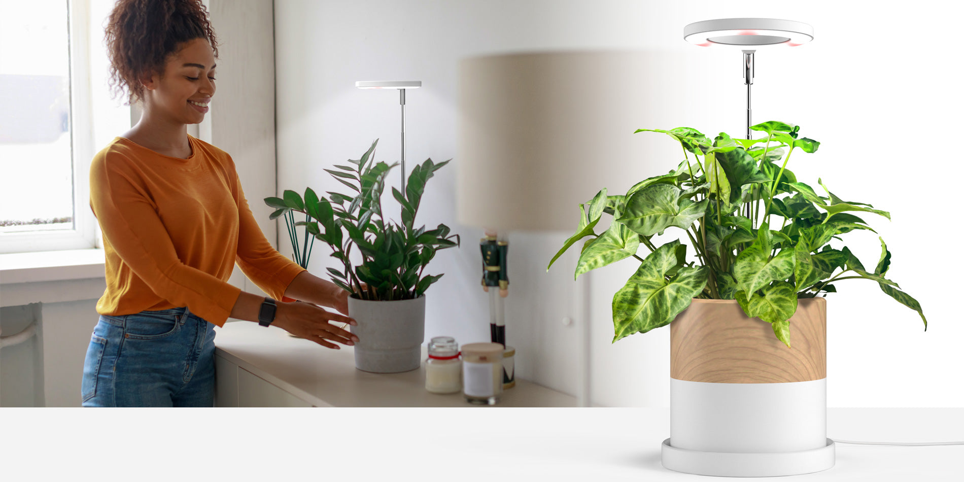 woman placing a pot plant using the Halo grow light on a table