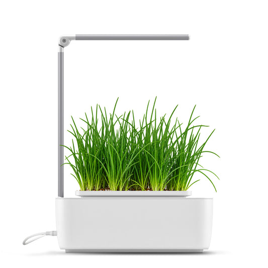 HydroGarden Classic smart garden growing chives in vermiculite growing medium