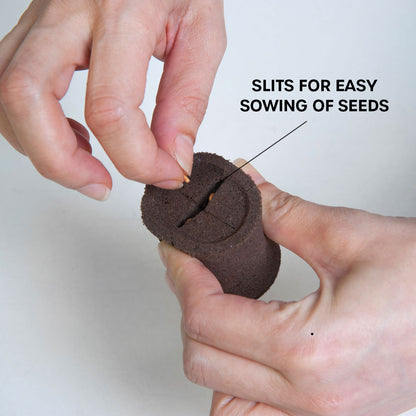 seed planting pods HydroSoil Pods 3-Pack- Plant Pods with Built-In fertilizer