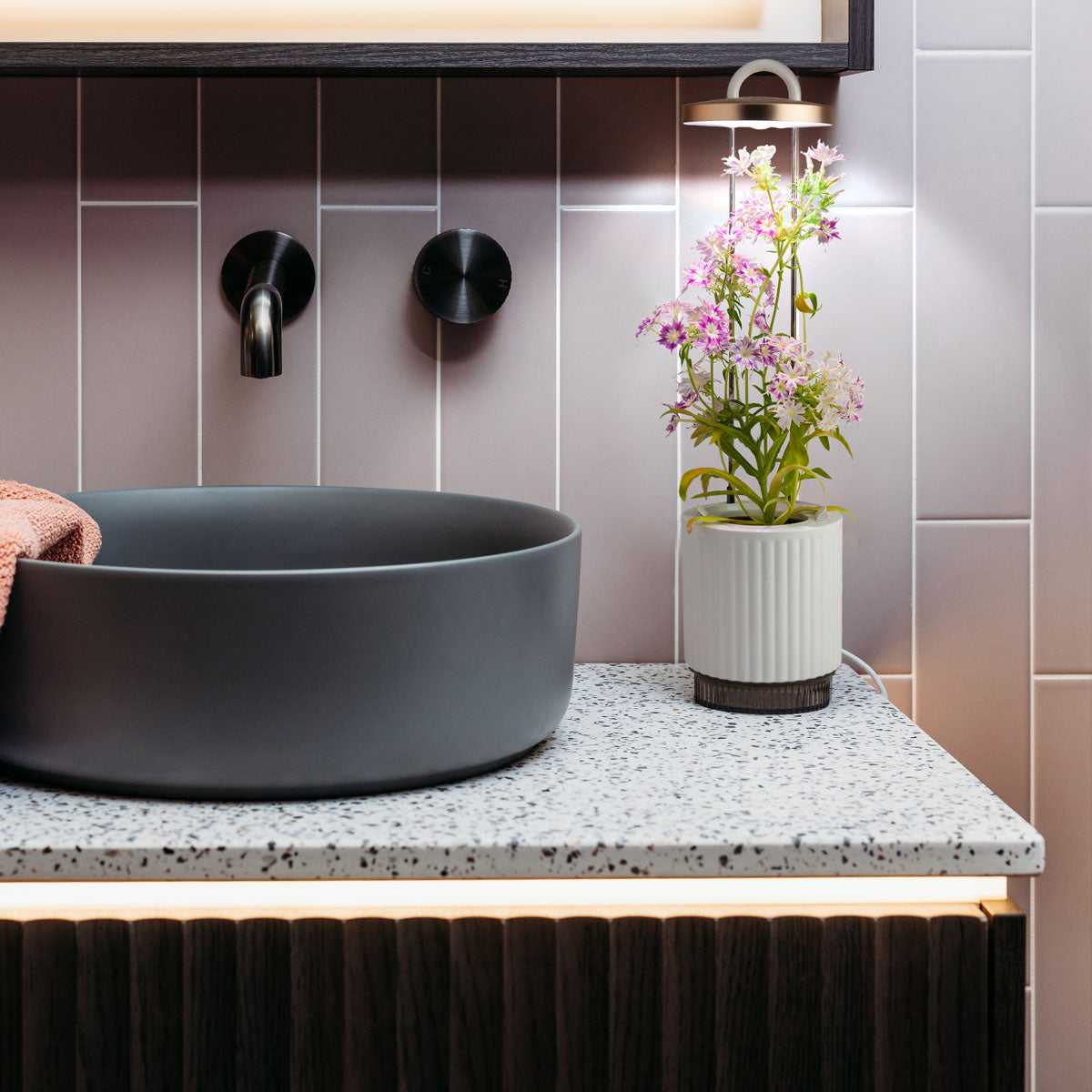 HydroVase growing flowers displayed near the bathroom basin