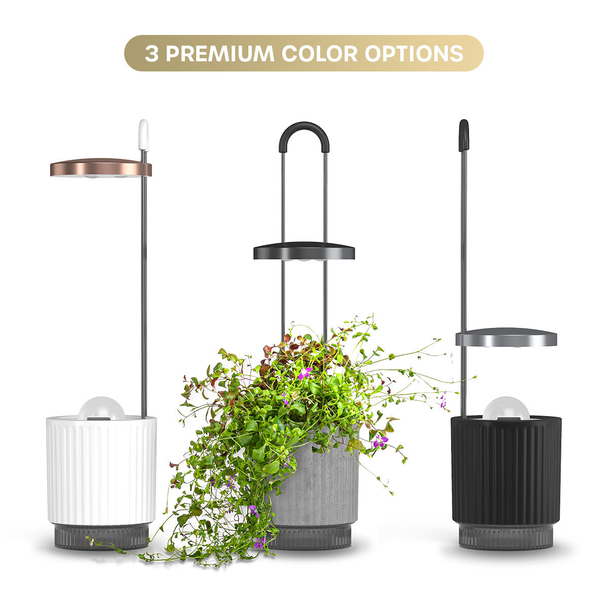 HydroVase three premium color options