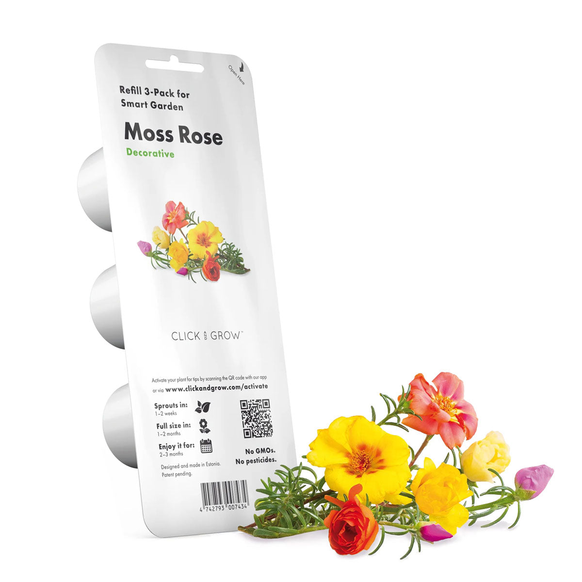 Moss Rose Click and grow plant pods 3-pack