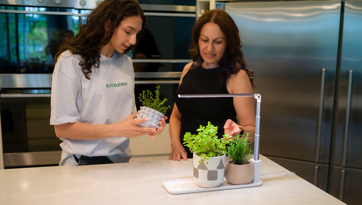 A mother and daughter in a modern kitchen stand admiring the plants that are sitting in the Ermonix Grow Tray. 