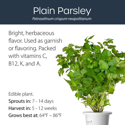 Plain Parsley click and grow plant pod features and benefits