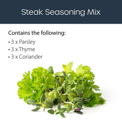 Steak Seasoning mix 9 pack Click and grow description