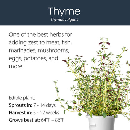 Thyme click and grow plant pod features and benefits